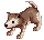 Filhote de Lobo